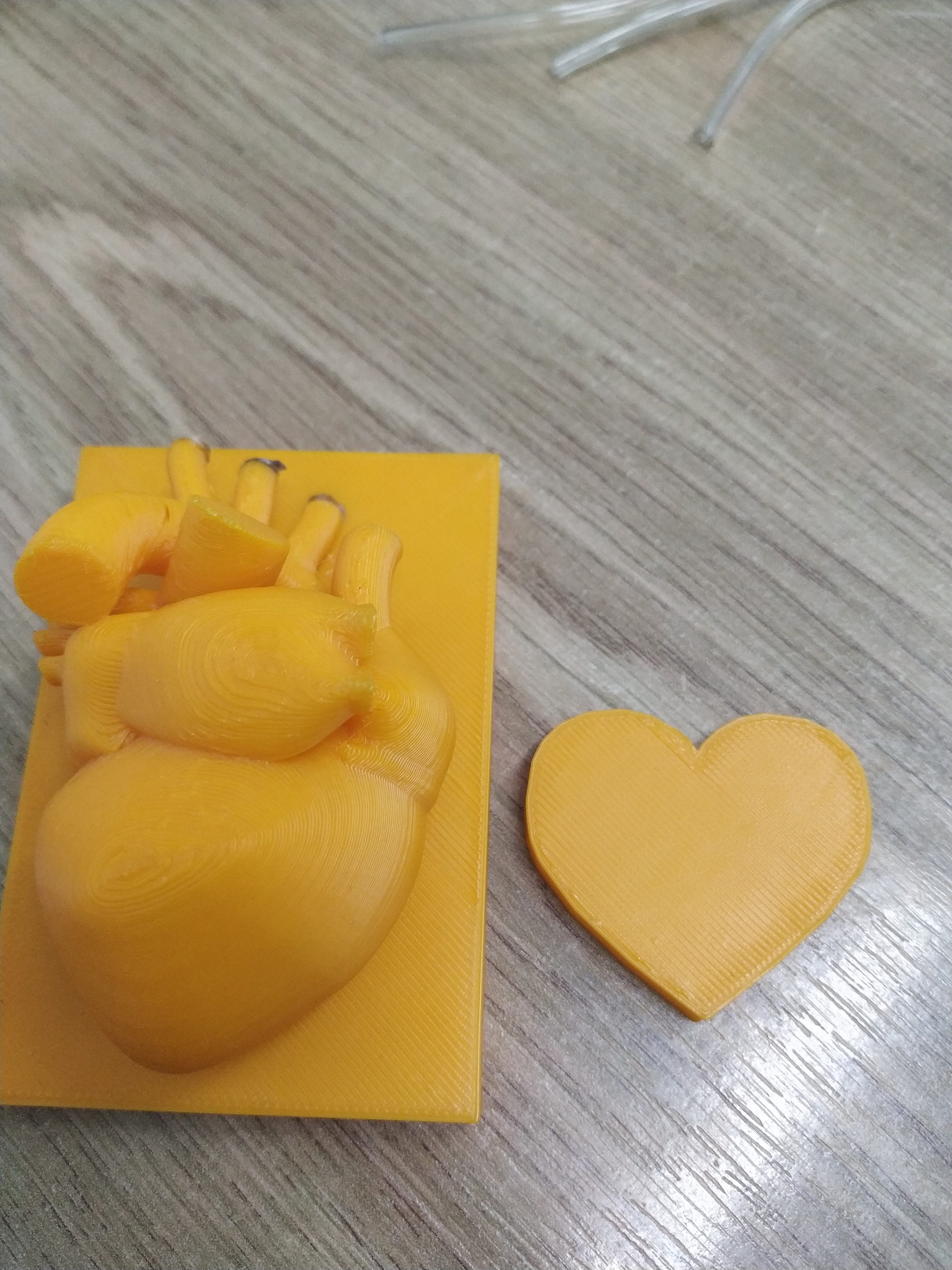 макет людського серця