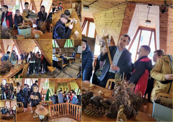 Учні 6-Б класу відвідали Музей деревини!