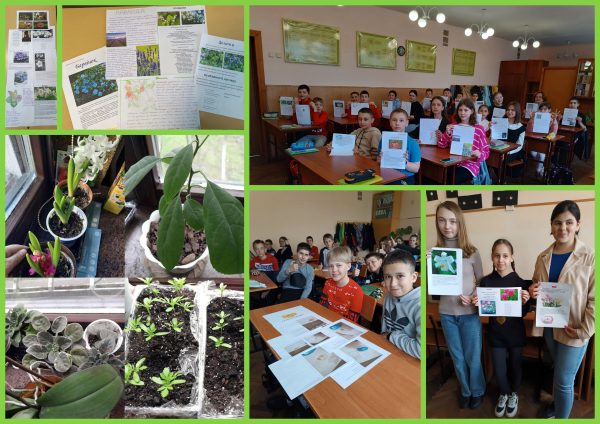 Учні 6-х класів визначали види рослин, придатних для вирощування в певних умовах